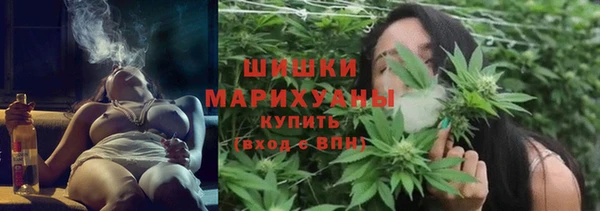 шишки Нязепетровск