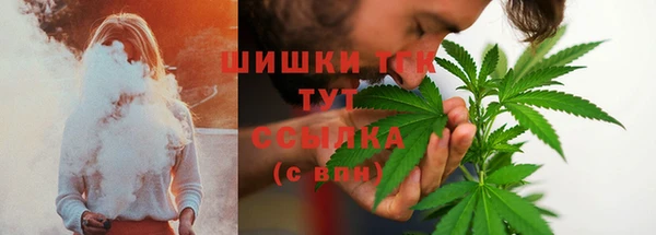 шишки Нязепетровск