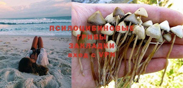 каннабис Няндома
