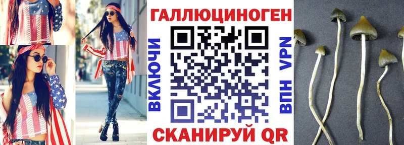 Галлюциногенные грибы Psilocybe Йошкар-Ола