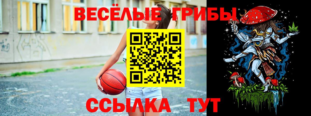 Галлюциногенные грибы ЛСД  Псилоцибиновые грибы GOLDEN TEACHER  Вход с VPN  Йошкар-Ола 