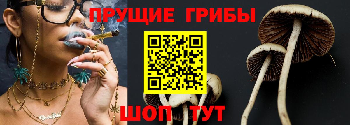 Псилоцибиновые грибы прущие грибы  Йошкар-Ола 